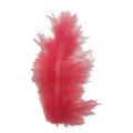 High-quality and Fluffy Tail Feather