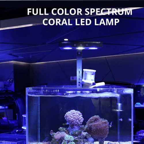 Zoutwateraquariumapparatuur Verstelbaar volledige spectrum