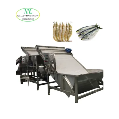 China Anchovy Grading and Sorting Equipment