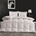 /msite/products/detail/productid/62262223/id/1337126.html