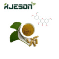 Ginkgo biloba leaf extract powder