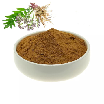 Valerian root extract powder for sale
