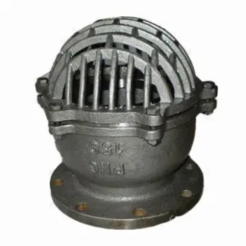 Cast steel foot valve, lift and swing type