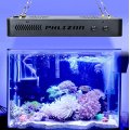 165W Coral Wachsende LED Aquarium Beleuchtung