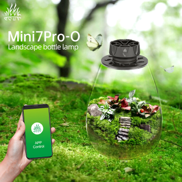 WEEK AQUA Bryophyte Light Eco Glass COB LED Bottle Microlandscape Lamp