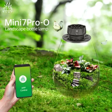 WEEK AQUA Bryophyte Light Eco Glass COB LED Bottle Microlandscape Lamp