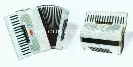 Piano Accordion 37key 96bass