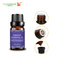 100% Pure Natural Therapeutic Grade Violet Essential Oil