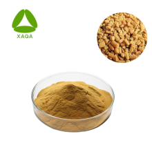 Fenugreek Seed Extract 50% Furostanol Saponins Natural