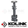 Forged Steel Gate Valve Extended Bonnet