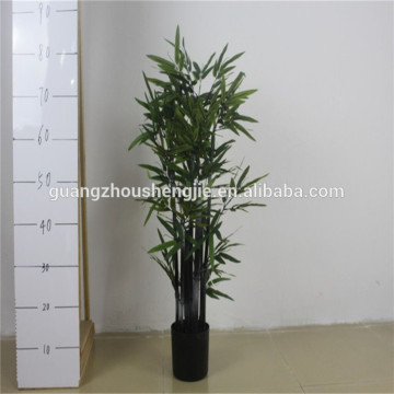 Black bamboo bonsai indoor bamboo plants foliage ornament lucky bamboo sale