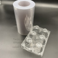 Caixa de recipiente de bandeja de ovos de estimação transparente