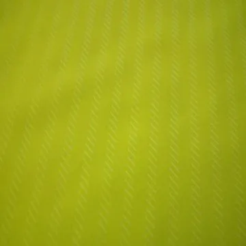 Outdoor Functional Fabrics for Coat, Jacket and Clothing