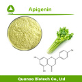 Nutritional Supplement Celery Extract Apigenin 98% poeder