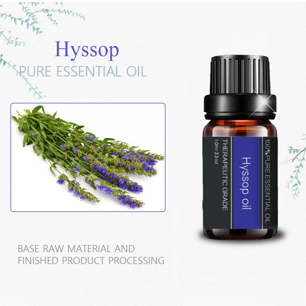 Aceite esencial de hysop orgánico natural 100%puro para el cuidado de la piel
