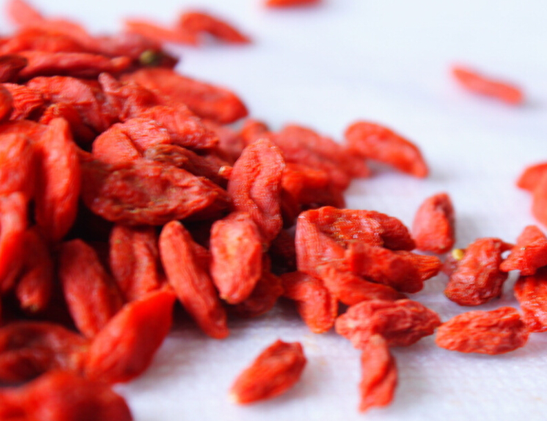 Goji Berry Powder 2