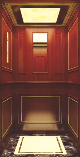 260kg lbs Residential Elevator Residential Lift as Request