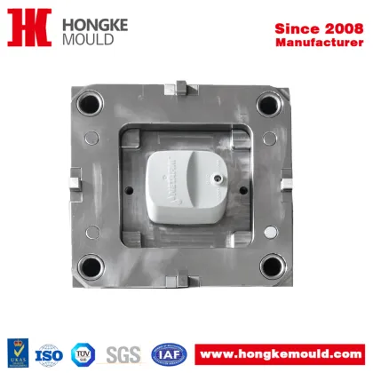 Electronic Housing Plastic Injection Mould