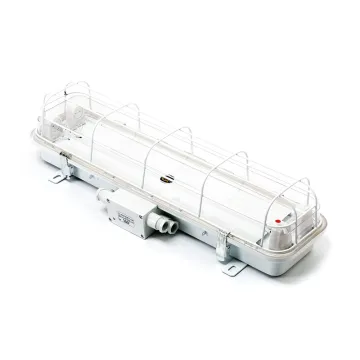 JCY23-2 Waterproof Fluorescent Pendant Light Fixture with Guard for Boats
