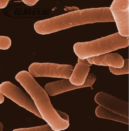 Feed additive Probiotics Lactobacillus Plantarum Granular