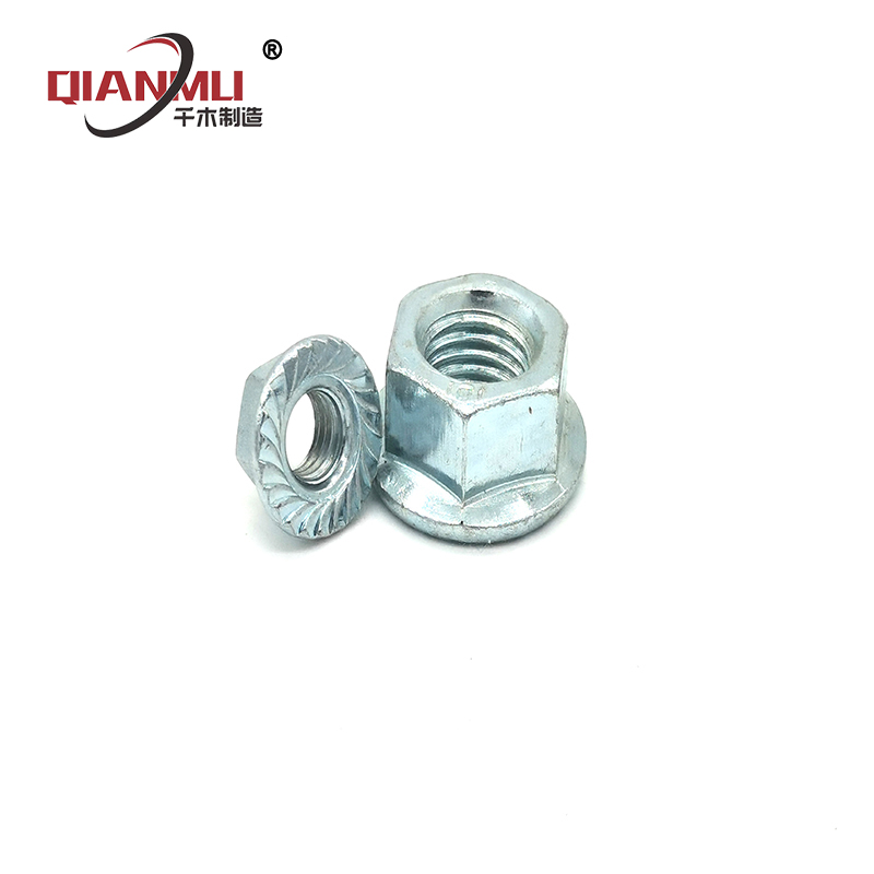 Types of Flange Nuts Hexagon Galvanized Flange Nut