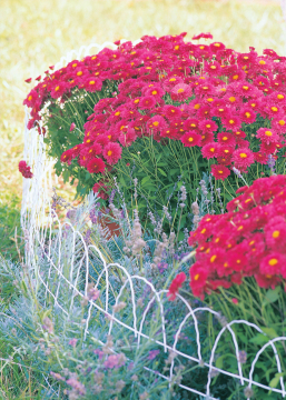 Fence Roll Flat Top 14in.x25ft.