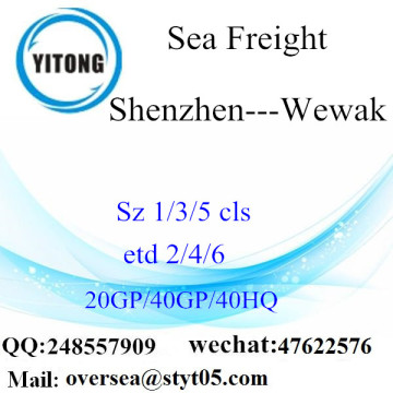 Transporte marítimo de carga del puerto de Shenzhen a Wewak