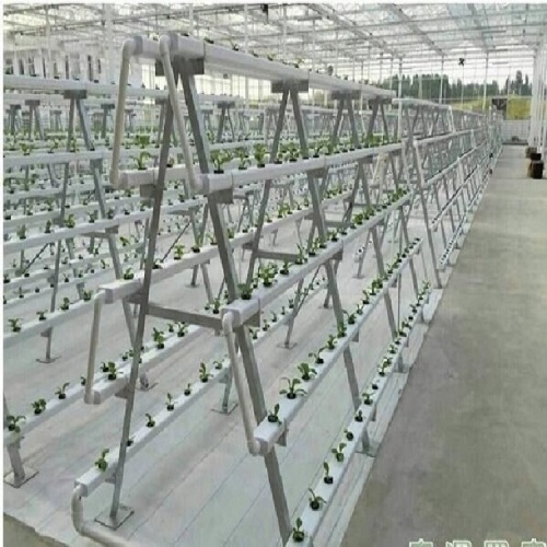 NFT Hydroponics Vegetables Vertikal PVC Tumbuh Sistem