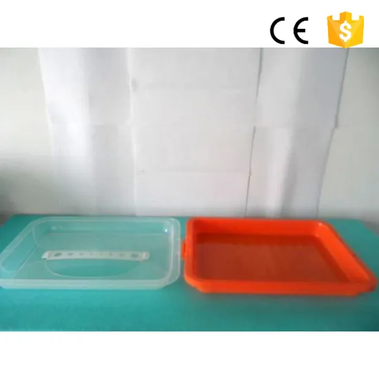 PP Plastic Box For Cake Clear Custom Cupcake Boxes