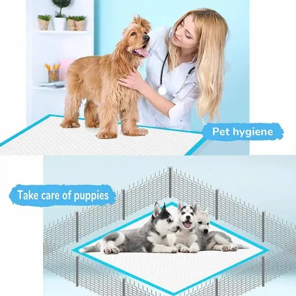 6 layer Pet Training Pads