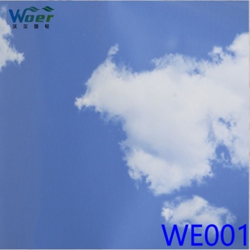 Nepal Iraq Blue Sky 3D Modern Design PVC Laminated Gypsum Ceiling Tiles