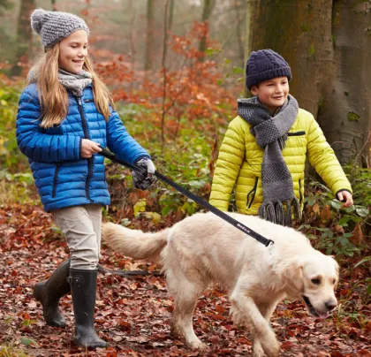 Training Walking Dog Lead