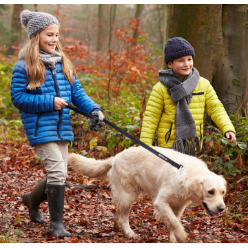 Allenamento conduttore di cane da passeggio