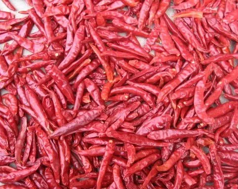 Dried Chaotian Chilli