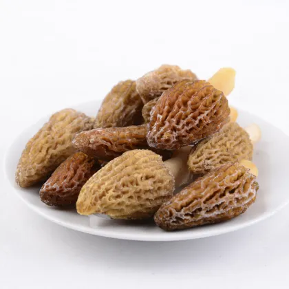 Wholesale Chinese Hot Product Morel