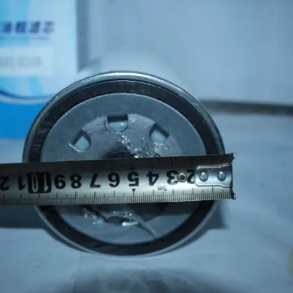 Brand-Fuel Coarse Filter Element 860140349 for XC870BR Backhoe Loader