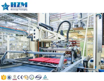 High Speed Automatic Bottle Water & Beverage Palletizing Machine - 10-40 Packs Per Minute