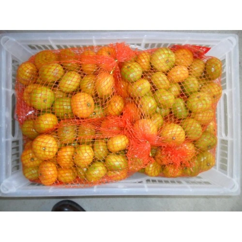 Fresh Mandarin Orange Fruit/ Baby Mandarin Orange - China Orange, Mandarin  Oranges