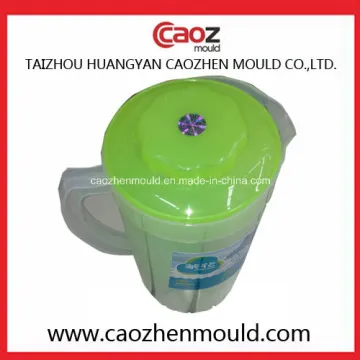 Hot Selling Plastic Injection Jug Mould in China