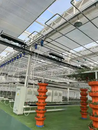 Soilless Cultivation Hydroponics System glass Greenhouse