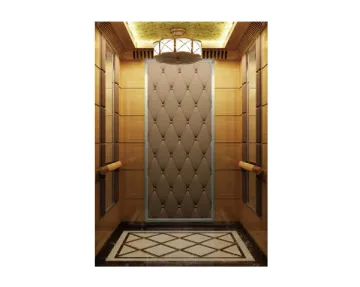 Modern Design Stainless Steel Passenger Elevator
