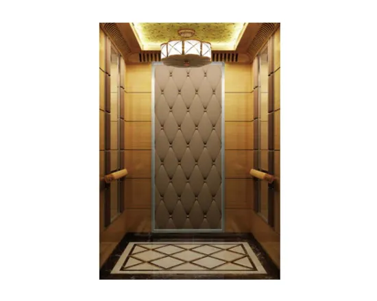 Modern Design Stainless Steel Passenger Elevator