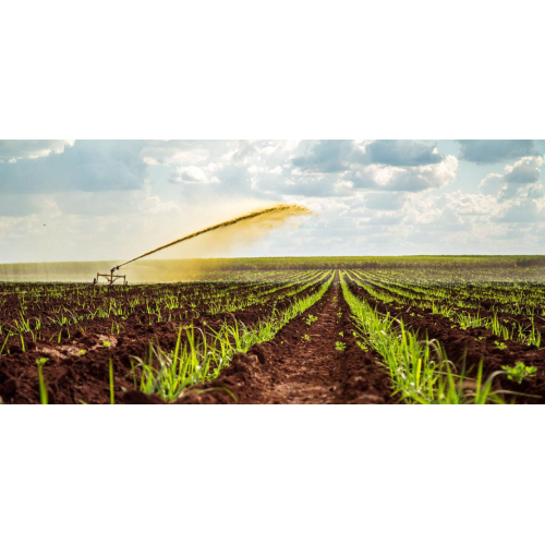 Cost-Effective Nitrogen Fertilizer Ammonium Bicarbonate