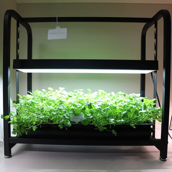 Indoor Mini Herb Growing System with Table Rack and Light Stand for Microgreens
