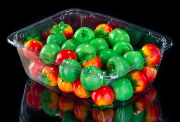 High Quality Plastic Salad Vegetable Container