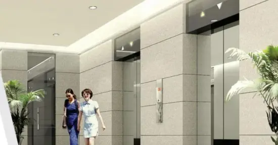 1150kg Lbs Commercial Passenger Elevator Lift