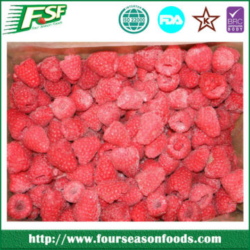 IQF Frozen Raspberry