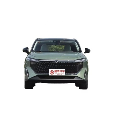 2023 Dongfeng Venucia Big V DD-i Super Hybrid 60km New Energy Vehicle iC Version: A Comprehensive Guide to the 5-Door 5-Seat SUV