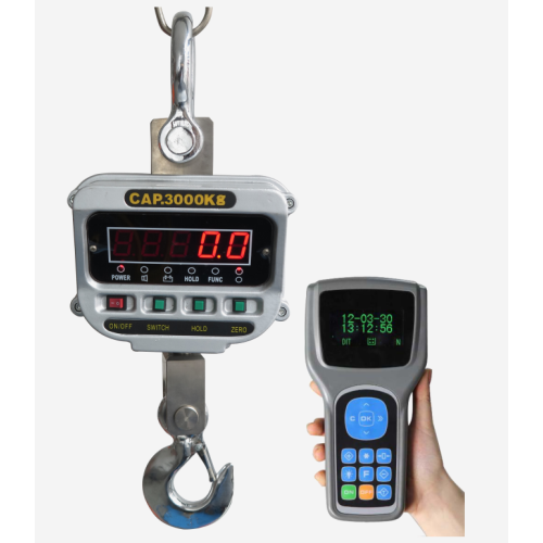 Classic Crane Scale with remote display