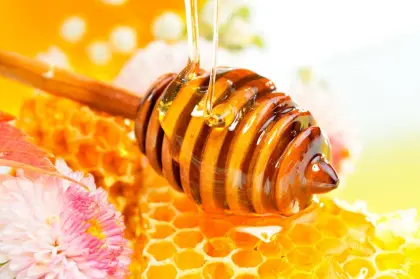 sweet yellow sunflower honey bee products